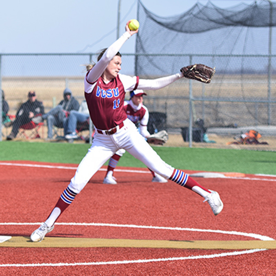 Picture of Friends of Viking Softball